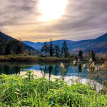 Uno scatto di sarabernardini.89 su Instagram