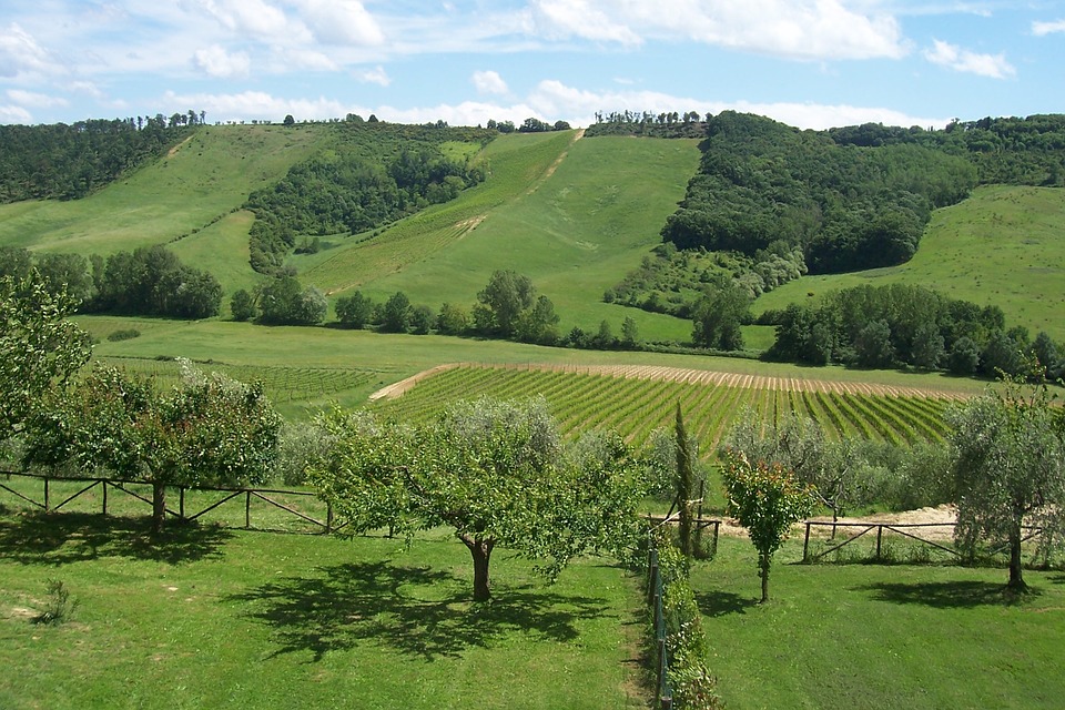 collina paesaggio