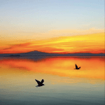 Il Trasimeno in uno scatto di @roberta.massi su Instagram