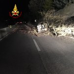 L'albero caduto sulla E45 nella zona di Bosco