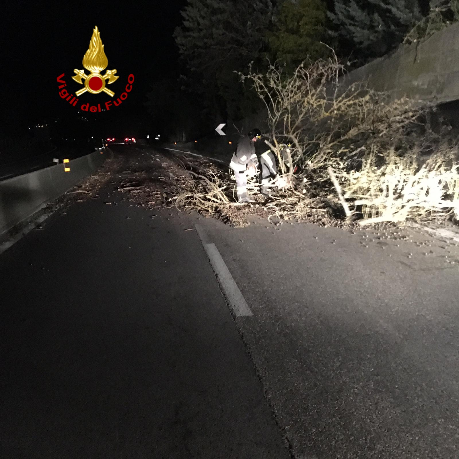 L'albero caduto sulla E45 nella zona di Bosco
