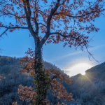 Uno scatto di @daniele_mercuri99 su Instagram