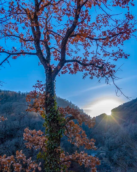 Uno scatto di @daniele_mercuri99 su Instagram