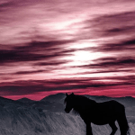 Uno scatto di @elena_cicio su Instagram