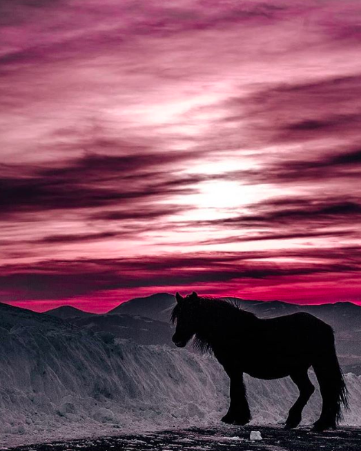 Uno scatto di @elena_cicio su Instagram