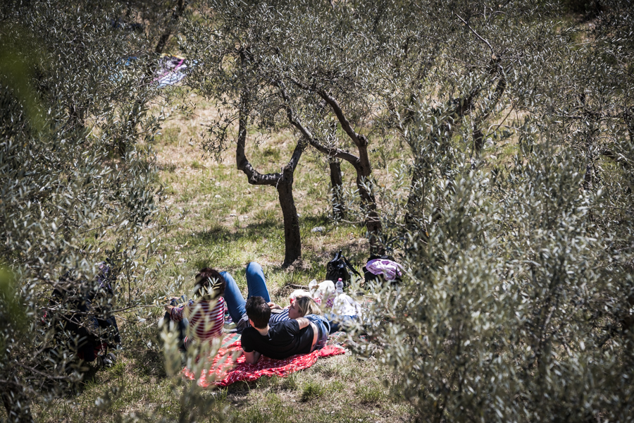 773777a4-7980-43d3-a1c5-748e24d0f00b