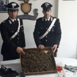 La droga sequestrata dai carabinieri di Assisi