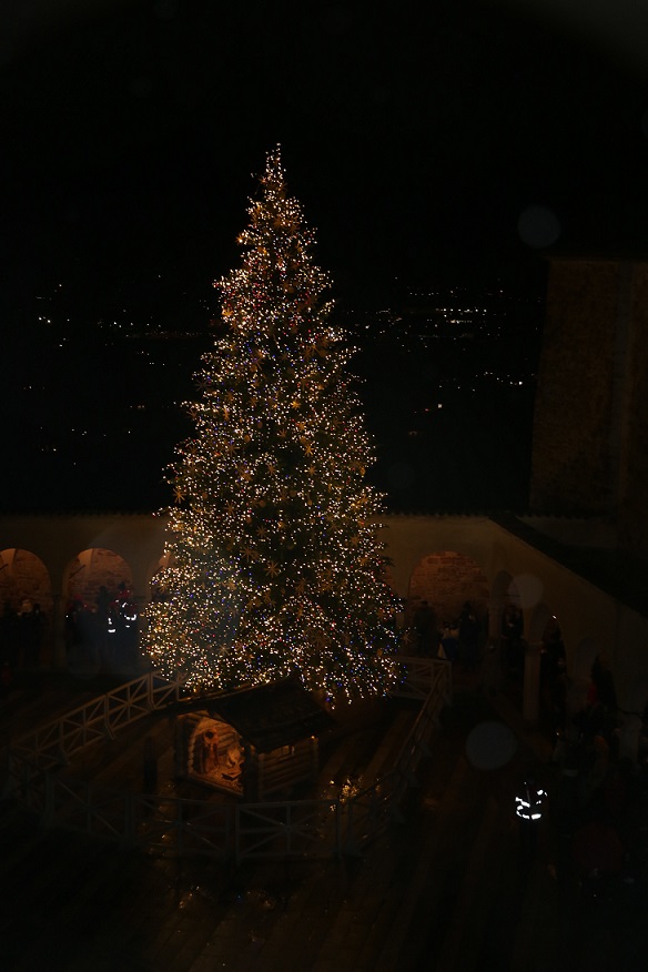 Albero di Natale Basilica di San Francesco 2021