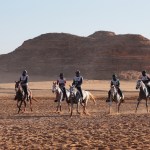 Fursan Endurance Cup