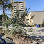 via xx settembre terni