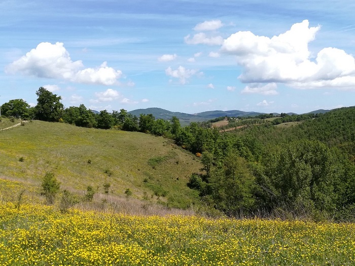  Monte Peglia per Unesco