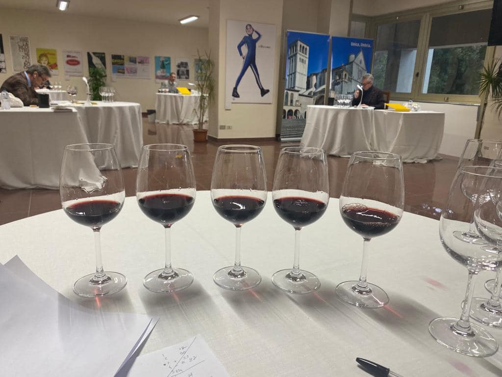 Umbria del vino_degustazione