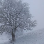 torna la neve al Rifugio sui Monti Martani