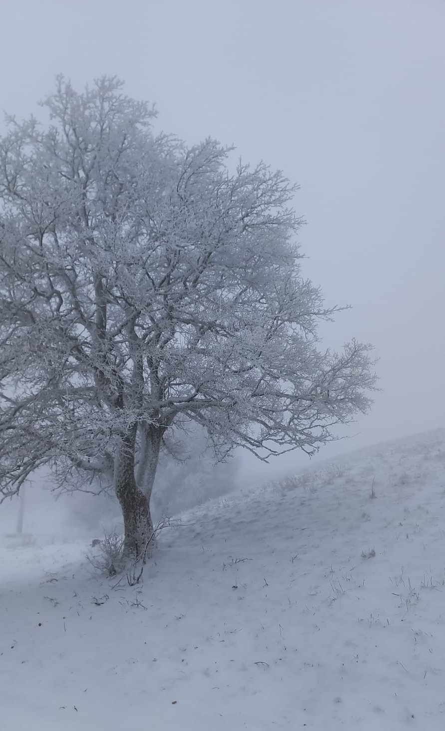 torna la neve al Rifugio sui Monti Martani