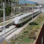 mostra al museo paleontologico “Luigi Boldrini”