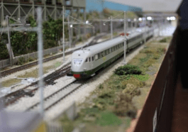 mostra al museo paleontologico “Luigi Boldrini”