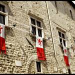 Corsa all'Anello palazzo foto fracec