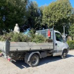 tornano a fiorire i giardini del Frontone
