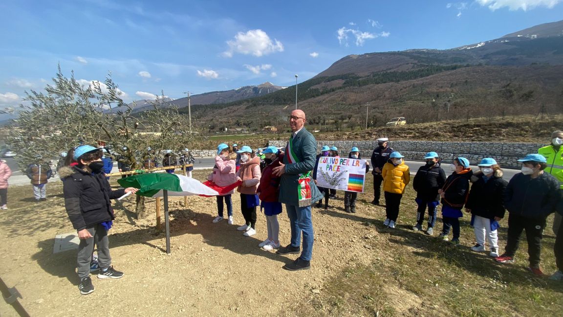 ulivo della rinascita gualdo tadino