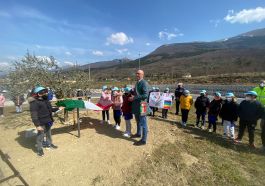 ulivo della rinascita gualdo tadino