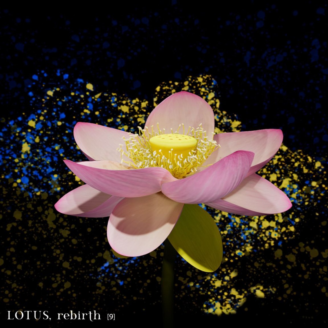 Dieci fiori per l’Ucraina