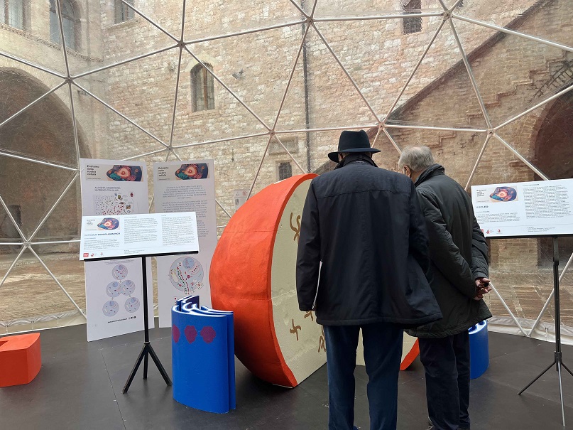 Cellulaessenziale Foligno