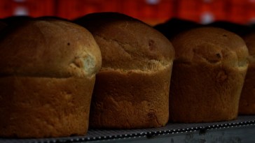 MPR_lavorazione torta al formaggio