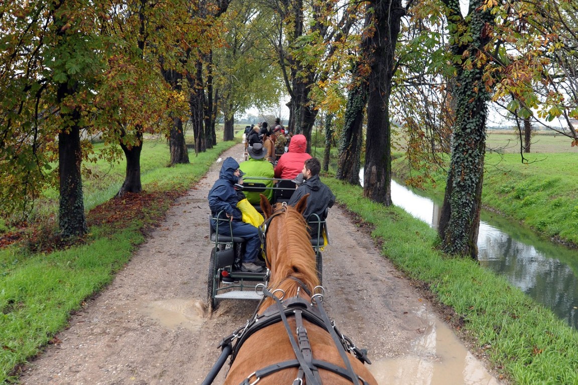 repertorio di un altro viaggio Paradriving