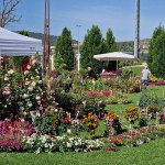 Perugia Flower show 2022