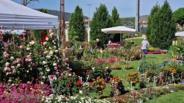 Perugia Flower show 2022
