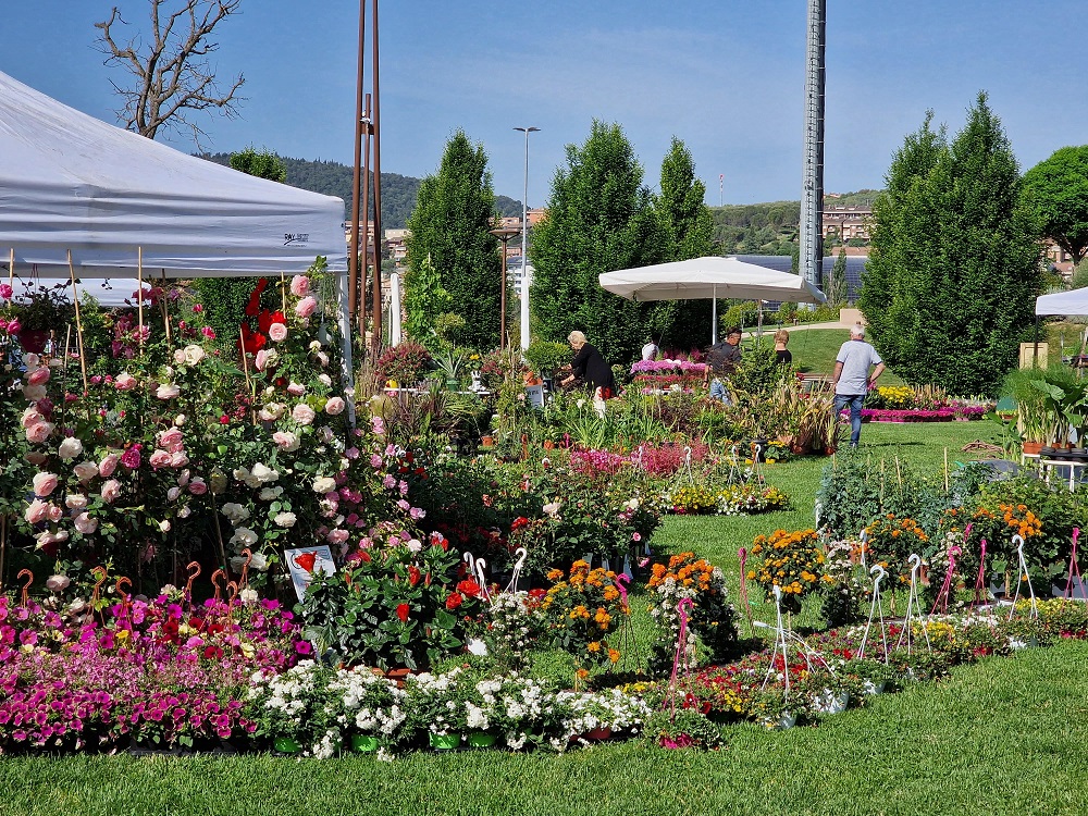 Perugia Flower show 2022