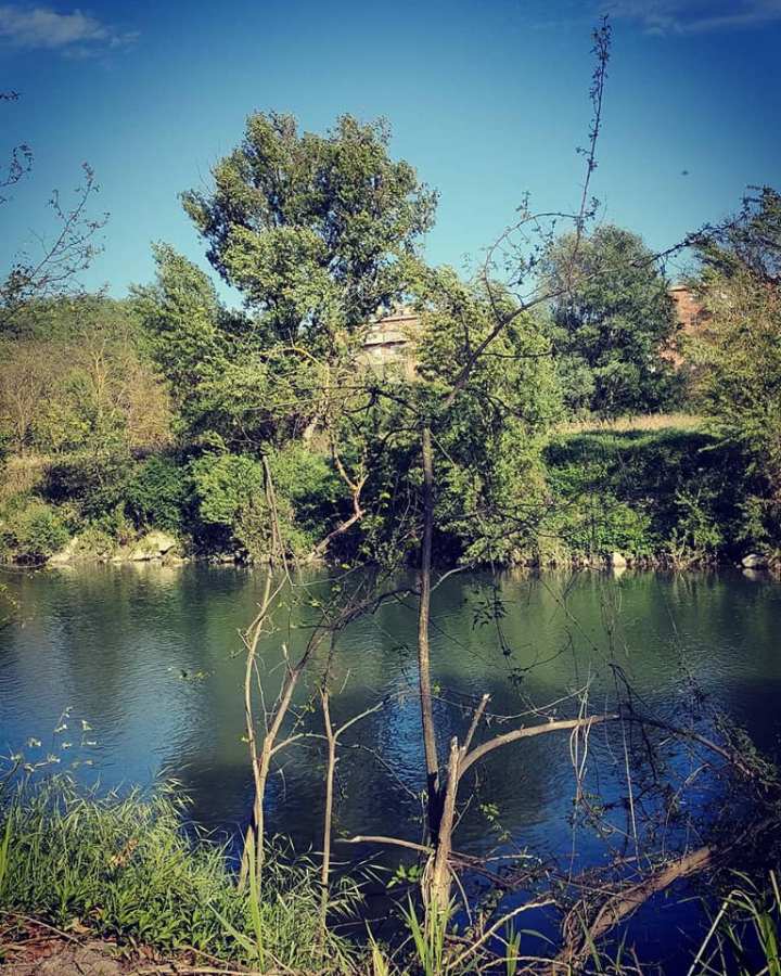 Tevere ponte felcino