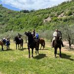 A cavallo con Francesco al Bosco di San Francesco