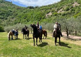 A cavallo con Francesco al Bosco di San Francesco