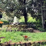 bosco didattico Ponte Felcino