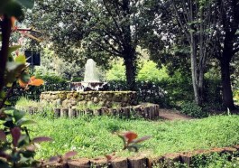 bosco didattico Ponte Felcino