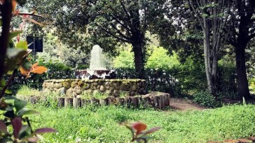 bosco didattico Ponte Felcino