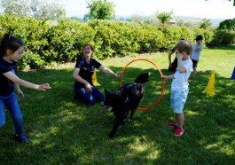 Parte da Assisi “Ambra and friends”