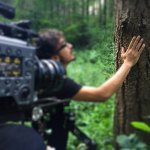 Federico Ortica alberi