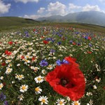 castelluccio norcia piangrande