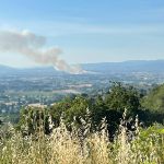 incendio campo di grano Castelnuovo