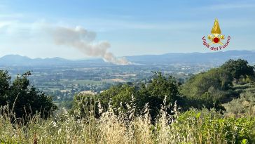 incendio campo di grano Castelnuovo