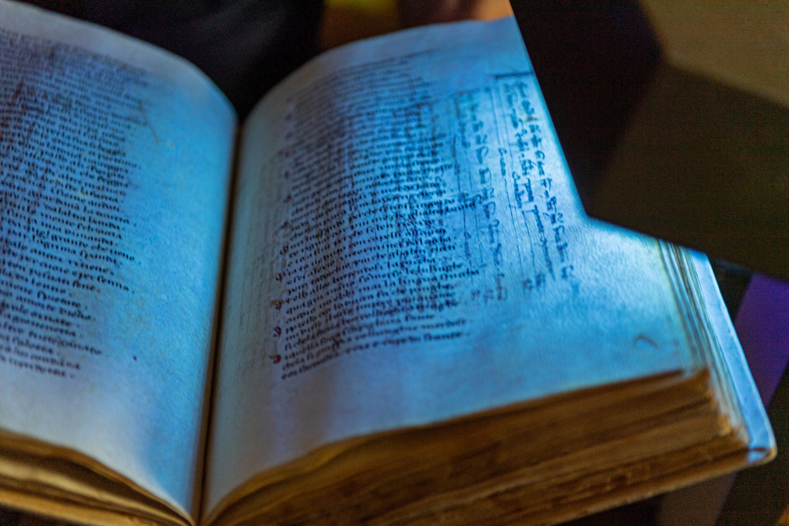 biblioteca Augusta Perugia