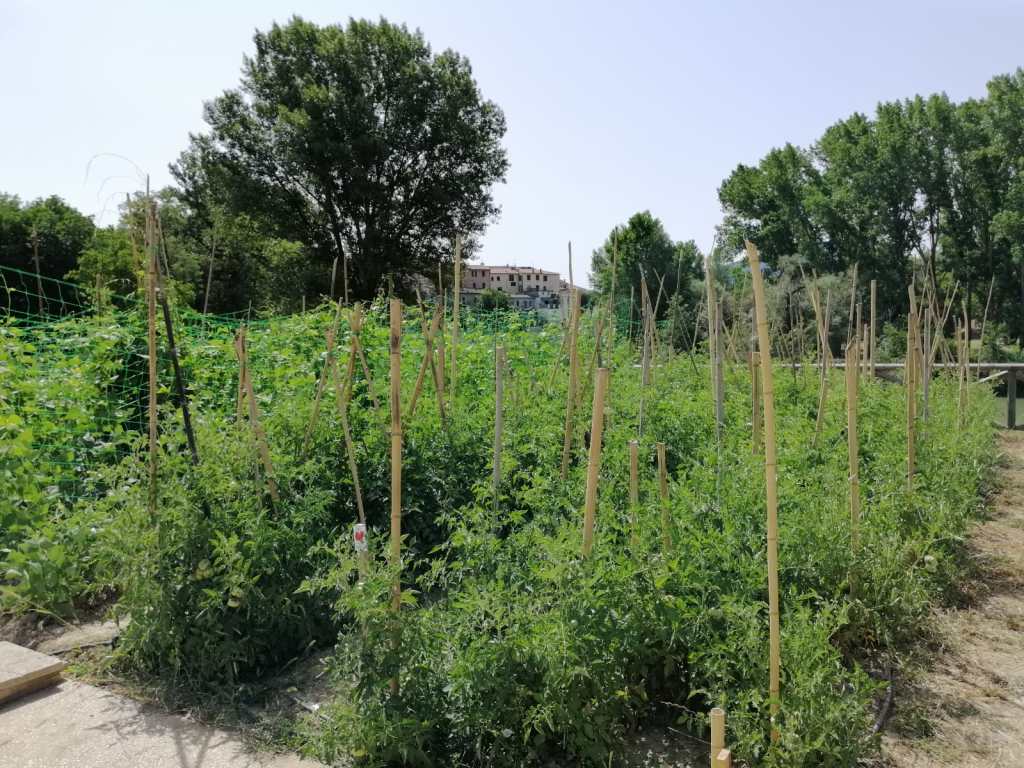 primo anno di Orti felici