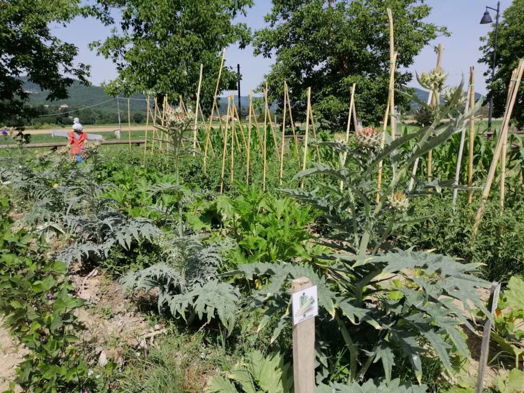 primo anno di Orti felici