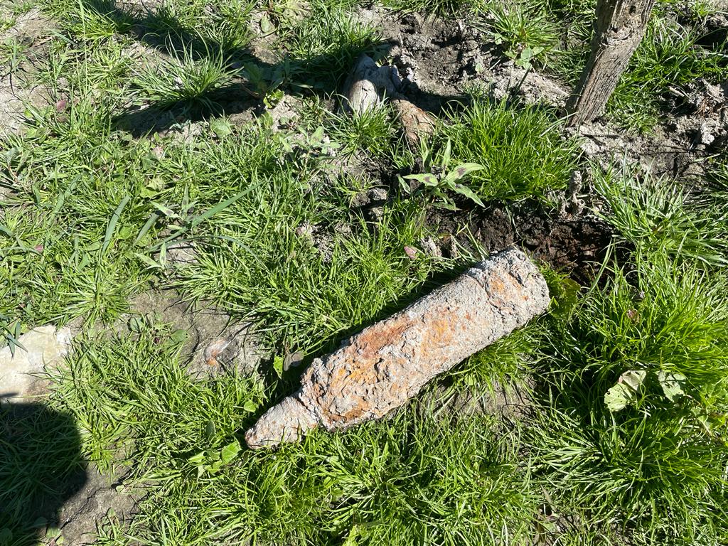 Rinvenuto ordigno bellico in riva al lago Trasimeno