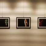 Mostra Chi è Simone Cecchetti