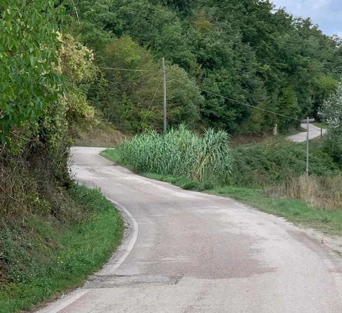 Strada del Sasseto