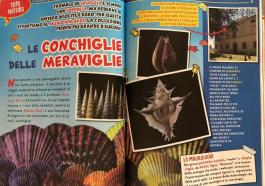 il museo Malakos su Topolino