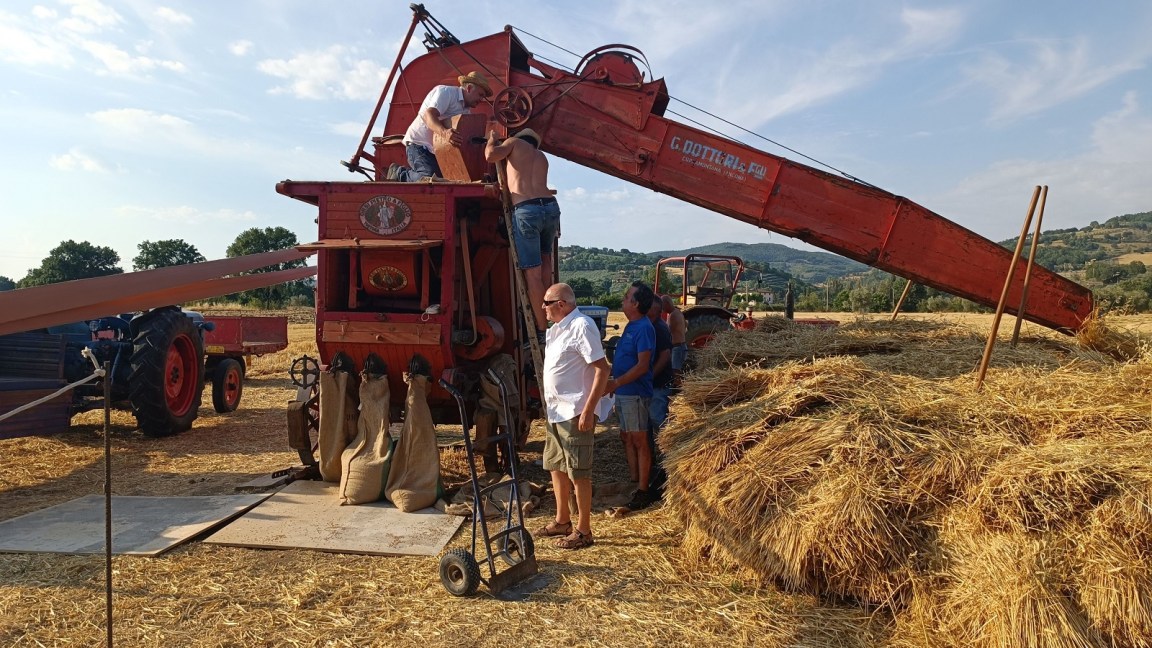 Festa della trebbiatura 2022 Bastia Umbra